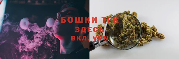 гашик Новозыбков