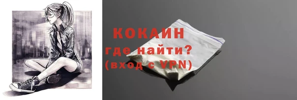 гашик Новозыбков