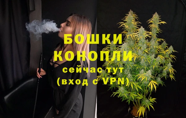 стафф Новокубанск