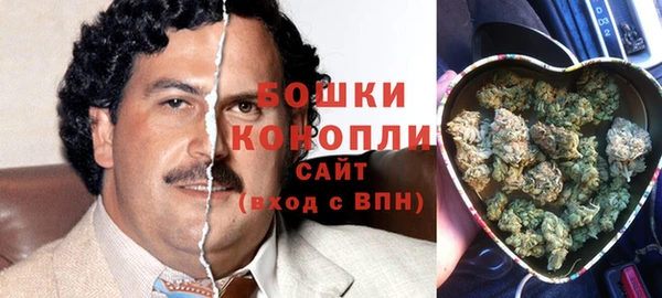 ГАЛЛЮЦИНОГЕННЫЕ ГРИБЫ Няндома