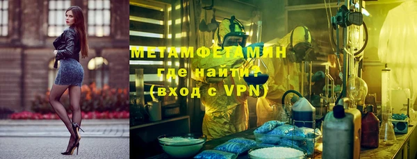 ГАЛЛЮЦИНОГЕННЫЕ ГРИБЫ Няндома