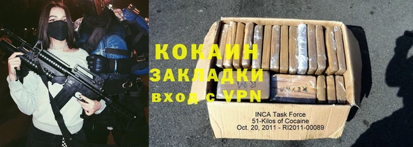 гашик Новозыбков