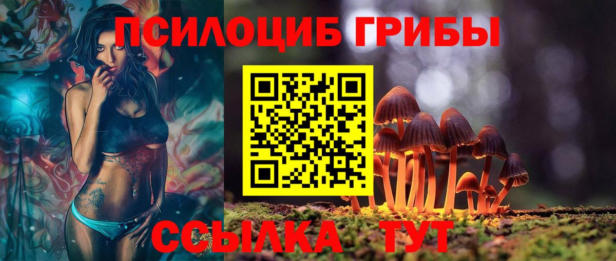 Зима  Галлюциногенные грибы мицелий  наркота  Вход с VPN 