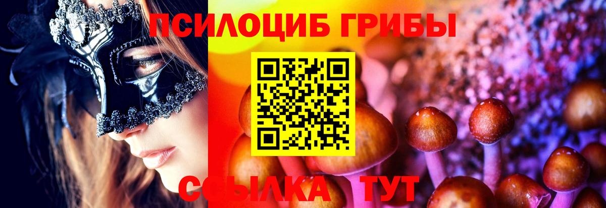 Галлюциногенные грибы Psilocybe  Зима 