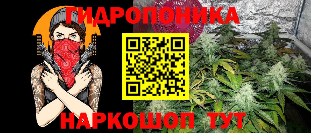 Бошки марихуана ГИДРОПОН Зима