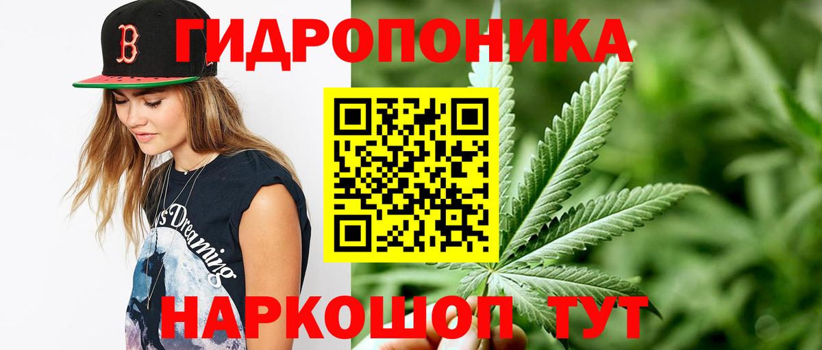 Канабис сатива  Шишки марихуана Bruce Banner  Канабис ГИДРОПОН  Вход с VPN  Зима 